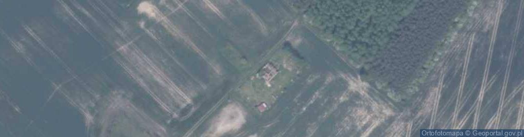 Zdjęcie satelitarne Trzciano ul.