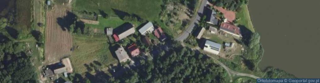 Zdjęcie satelitarne Trzcieliny ul.