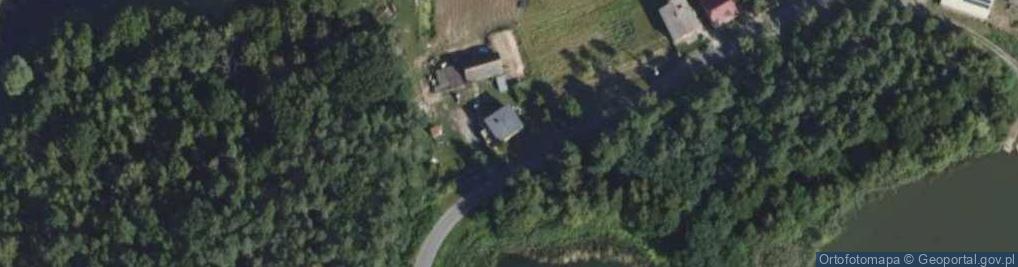 Zdjęcie satelitarne Trzcieliny ul.