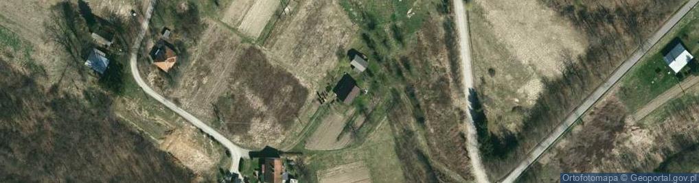 Zdjęcie satelitarne Trzcinica ul.