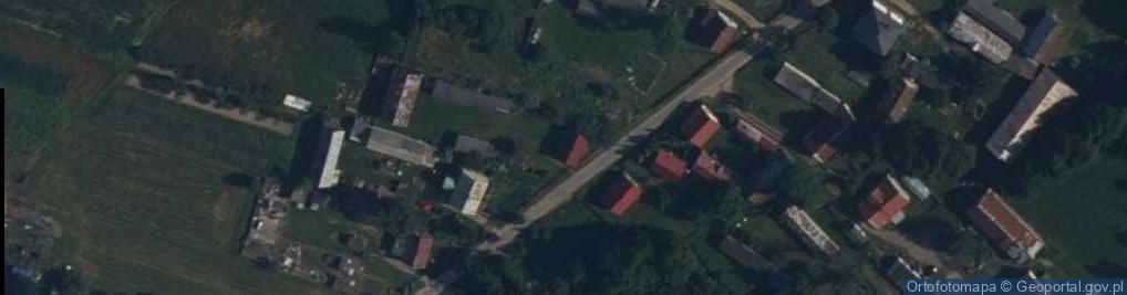 Zdjęcie satelitarne Trzciniec Duży ul.