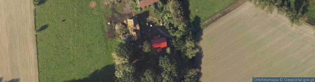 Zdjęcie satelitarne Trzcinisko ul.