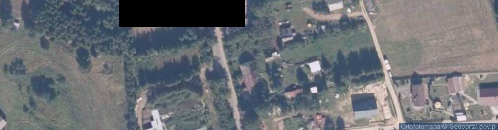 Zdjęcie satelitarne Trzcinno ul.