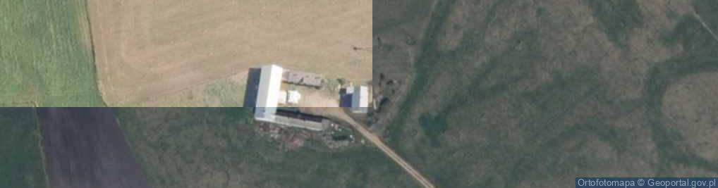 Zdjęcie satelitarne Trzcińskie ul.