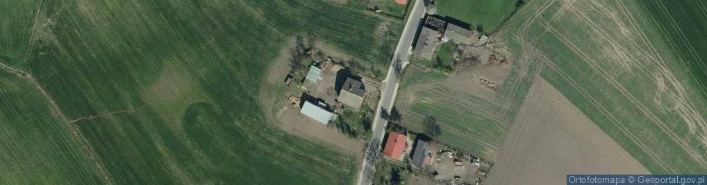 Zdjęcie satelitarne Trzebcz Królewski ul.