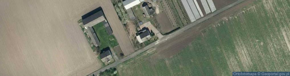 Zdjęcie satelitarne Trzebcz Szlachecki ul.