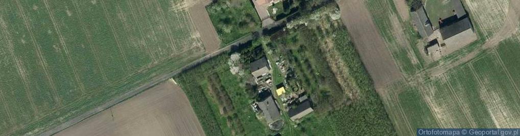 Zdjęcie satelitarne Trzebcz Szlachecki ul.