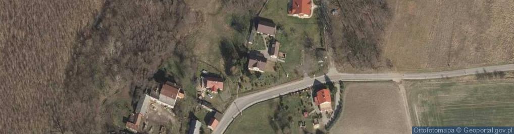 Zdjęcie satelitarne Trzebcz ul.