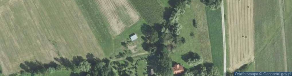 Zdjęcie satelitarne Trzebica ul.