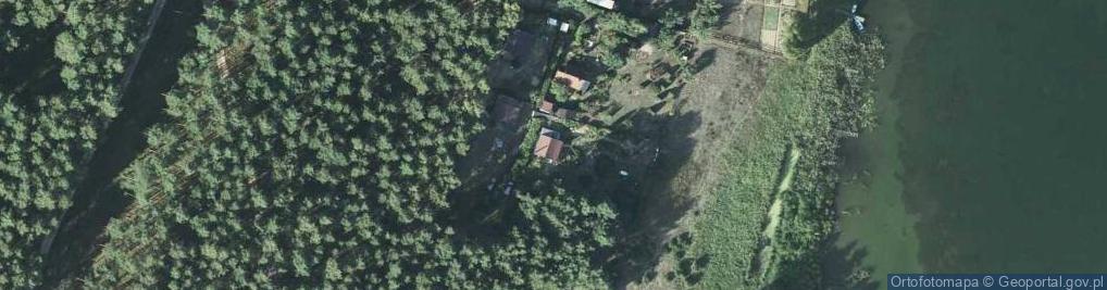 Zdjęcie satelitarne Trzebiechowo ul.