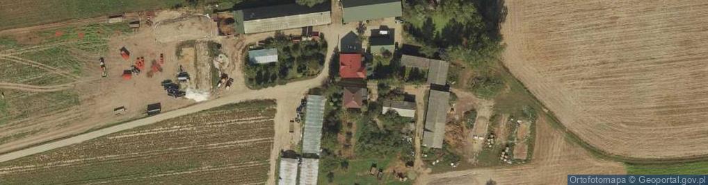Zdjęcie satelitarne Trzebiegoszcz ul.