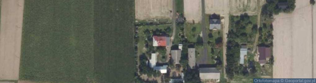 Zdjęcie satelitarne Trzebienie Pierwsze ul.