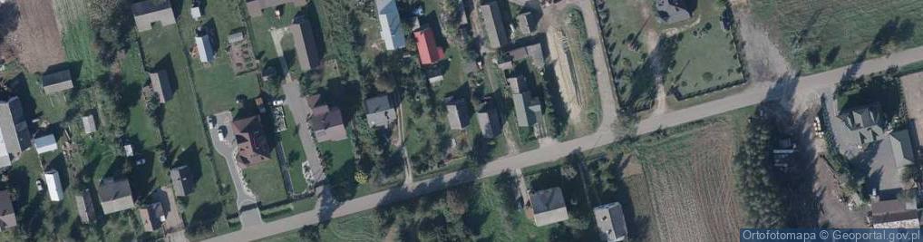 Zdjęcie satelitarne Trzebieszów-Kolonia ul.