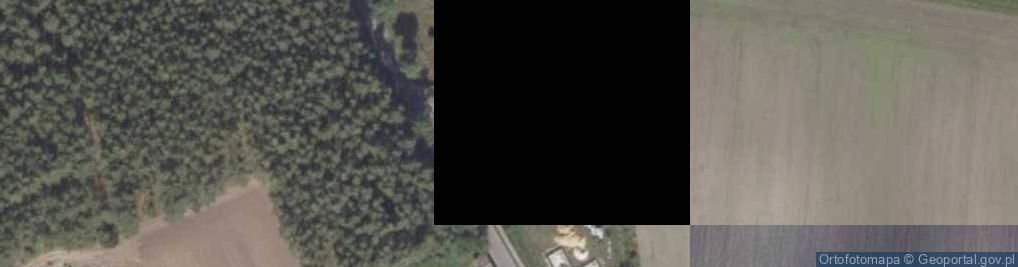 Zdjęcie satelitarne Trzebiny ul.