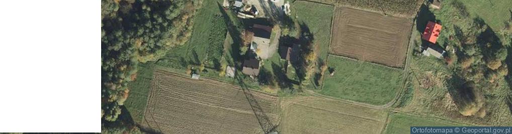 Zdjęcie satelitarne Trzemesna ul.