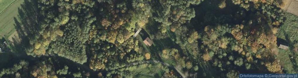 Zdjęcie satelitarne Trzemesna ul.