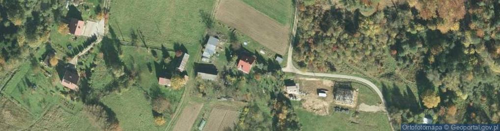 Zdjęcie satelitarne Trzemesna ul.