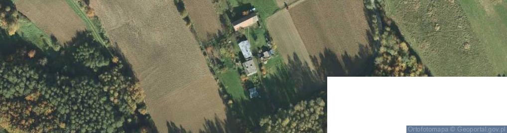 Zdjęcie satelitarne Trzemesna ul.