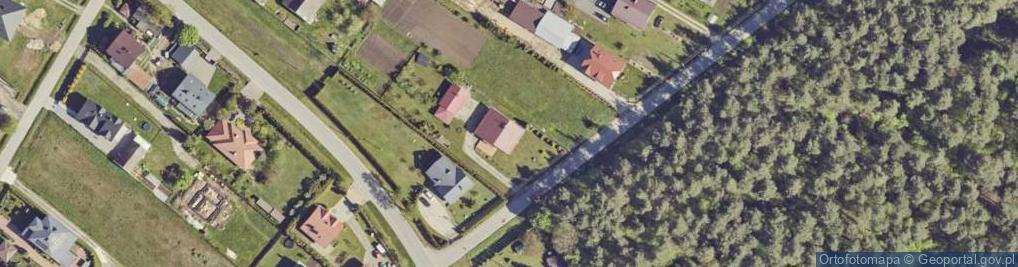 Zdjęcie satelitarne Trześń ul.