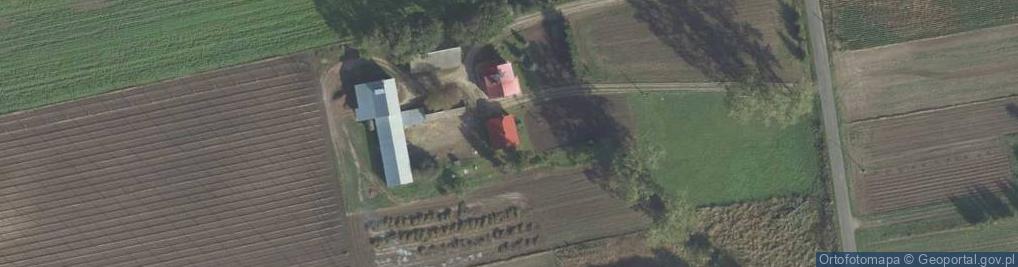 Zdjęcie satelitarne Trzeszczany Pierwsze ul.
