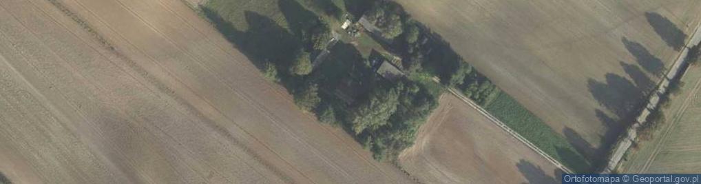 Zdjęcie satelitarne Trzeszczany Pierwsze ul.