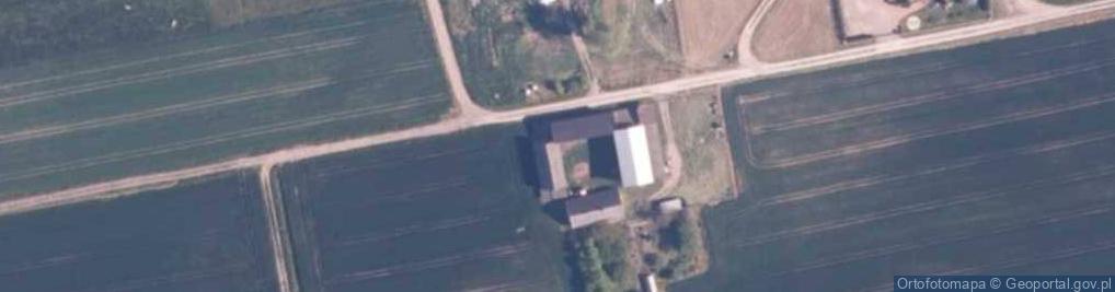 Zdjęcie satelitarne Trzmielewo ul.