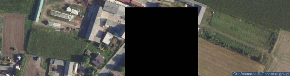 Zdjęcie satelitarne Trzuskołoń ul.