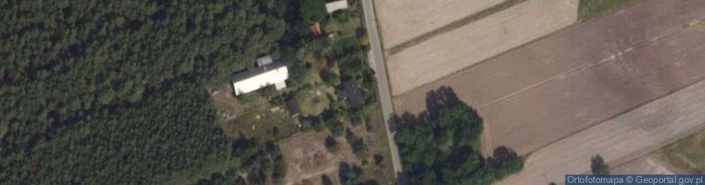 Zdjęcie satelitarne Trzymsze ul.