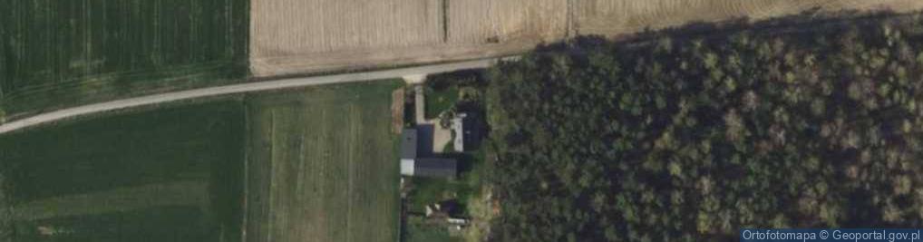 Zdjęcie satelitarne Tworzyjanki ul.