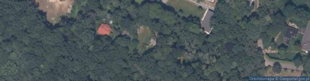 Zdjęcie satelitarne Tworzyjanki ul.