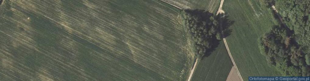 Zdjęcie satelitarne Udrycze-Wola ul.