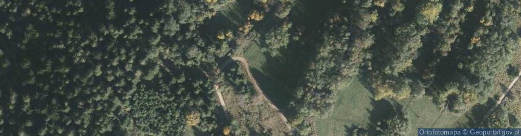 Zdjęcie satelitarne Ujsoły ul.