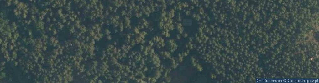Zdjęcie satelitarne Urwisów ul.