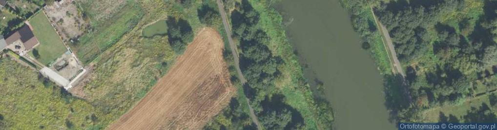 Zdjęcie satelitarne Wał Piastowski ul.