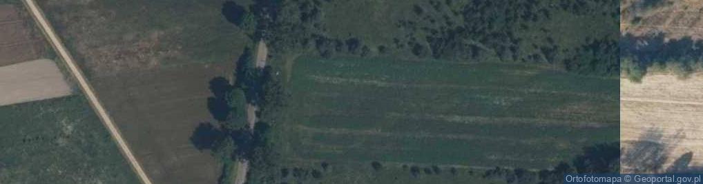 Zdjęcie satelitarne Wajkowska ul.