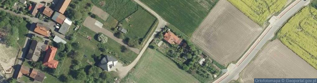 Zdjęcie satelitarne Walasiewicz-Olson Stanisławy ul.