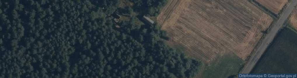 Zdjęcie satelitarne Węże ul.