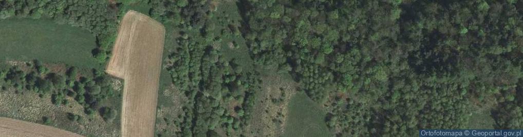 Zdjęcie satelitarne Węgielnik ul.