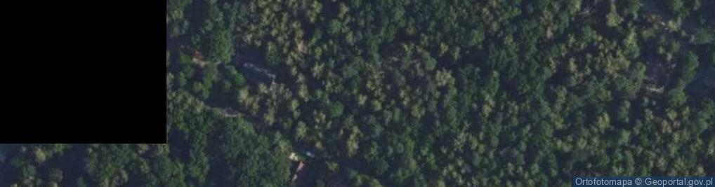 Zdjęcie satelitarne Wiewiórek ul.