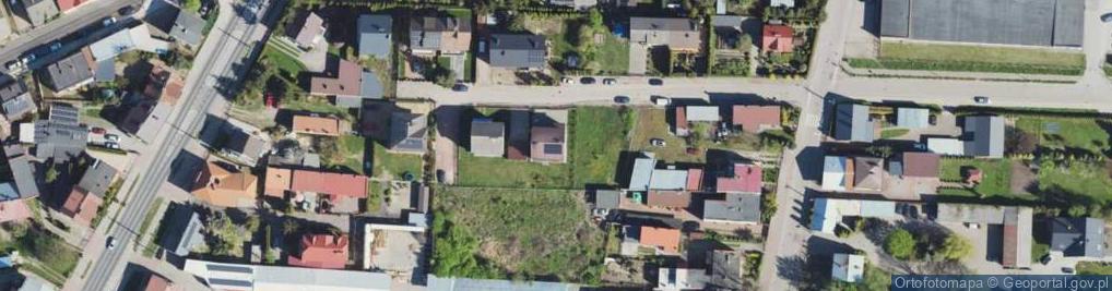 Zdjęcie satelitarne Willowa ul.