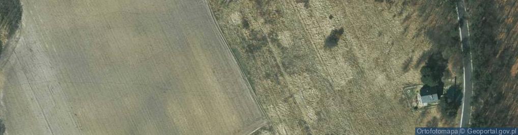 Zdjęcie satelitarne Willowa ul.