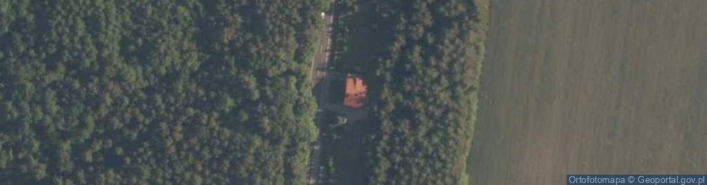 Zdjęcie satelitarne Wielki Bór ul.