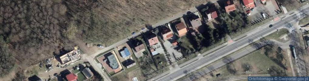 Zdjęcie satelitarne Witnicka ul.