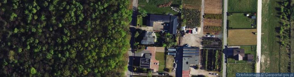 Zdjęcie satelitarne Willowa ul.