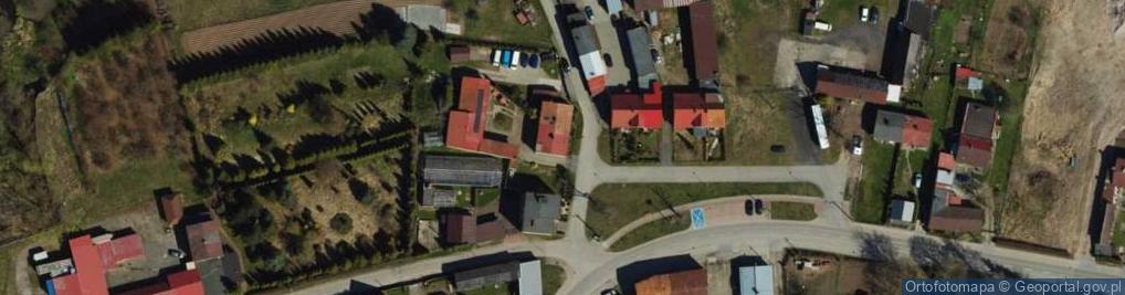 Zdjęcie satelitarne Widzińska ul.