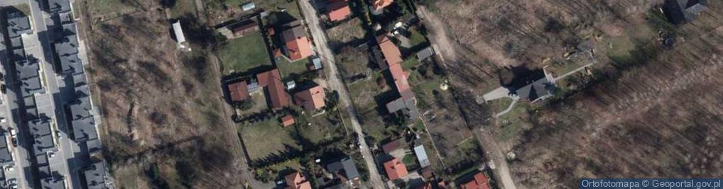 Zdjęcie satelitarne Witolda ul.