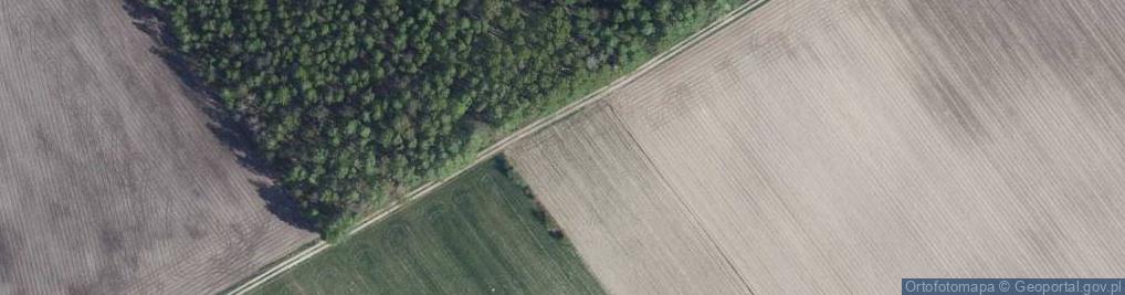 Zdjęcie satelitarne Wierzchowska ul.