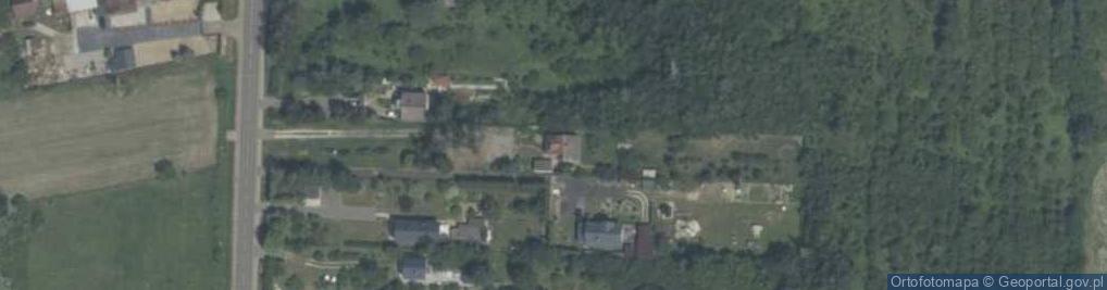 Zdjęcie satelitarne Wierzbicka ul.