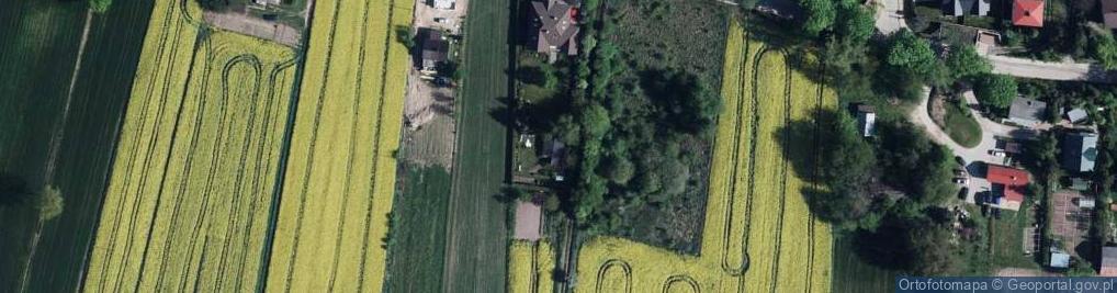 Zdjęcie satelitarne Wiercieńskiego Henryka ul.