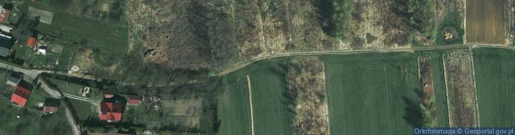 Zdjęcie satelitarne Wierzpole ul.